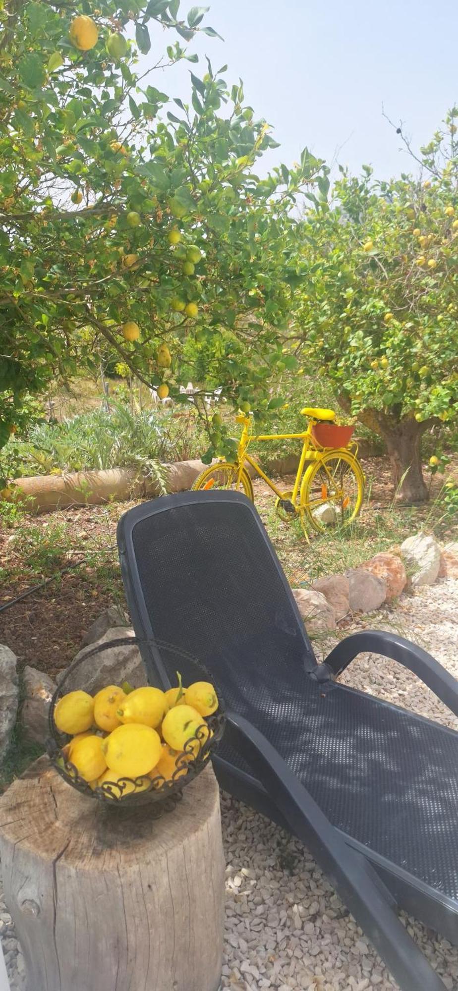 Finca Barahona Casa Barahona Casa Bahoruco, Casa Bohechio Альтеа Номер фото