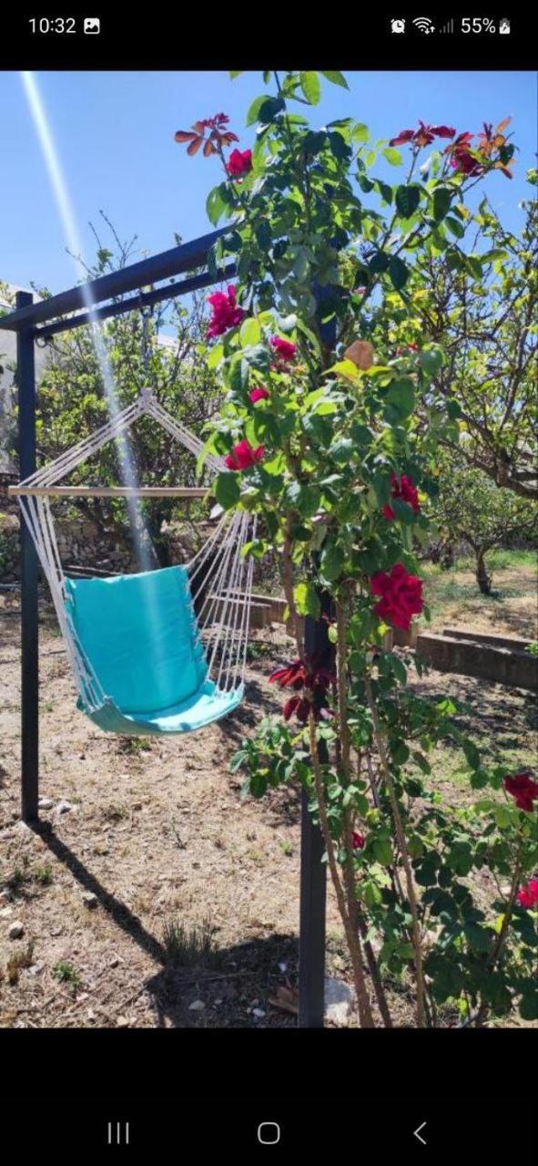 Finca Barahona Casa Barahona Casa Bahoruco, Casa Bohechio Альтеа Номер фото
